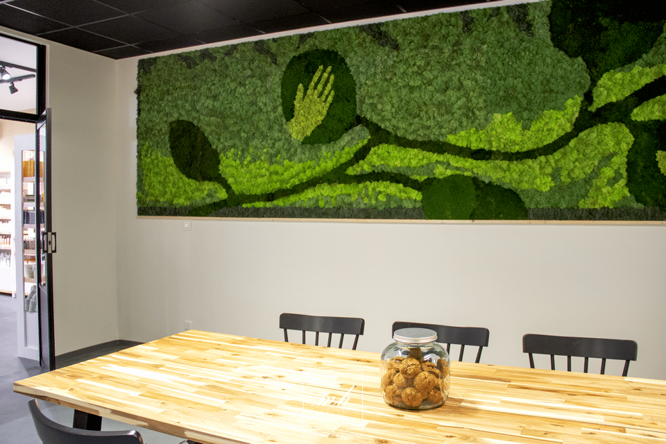 Mur végétal au sein d'un magasin bio situé à Trets par MH DECO